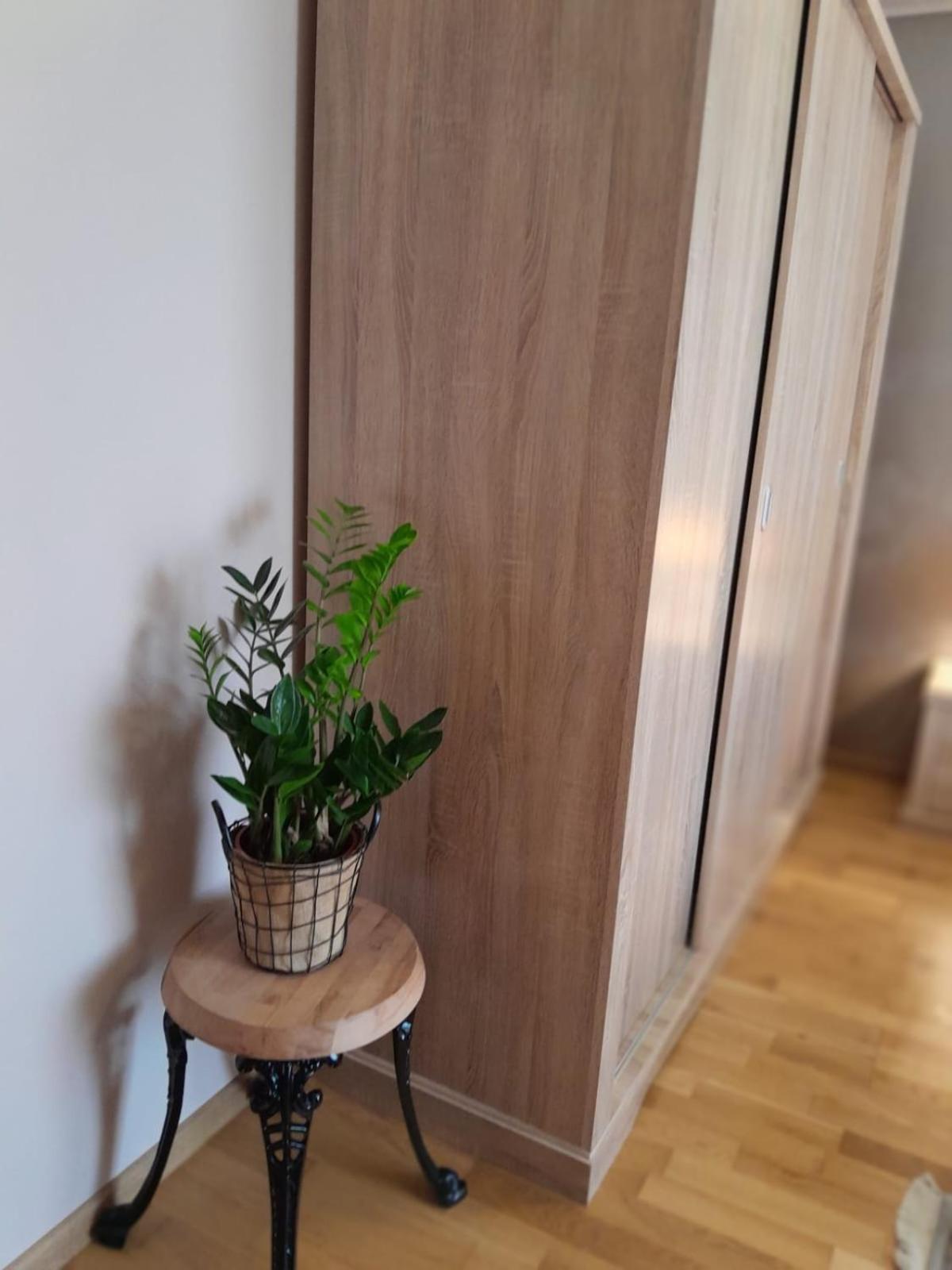 Apartamento Ap Hector Năvodari Exterior foto